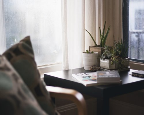 Cozy administrative office desk in Bogota with a plant and natural light
